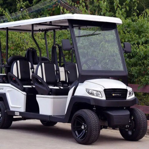 bintelli-golf-cart-lithium-battery